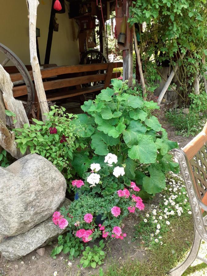 Pensjonat Kalina Komorze Dış mekan fotoğraf